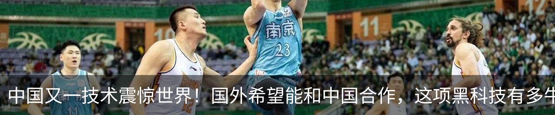新闻动态